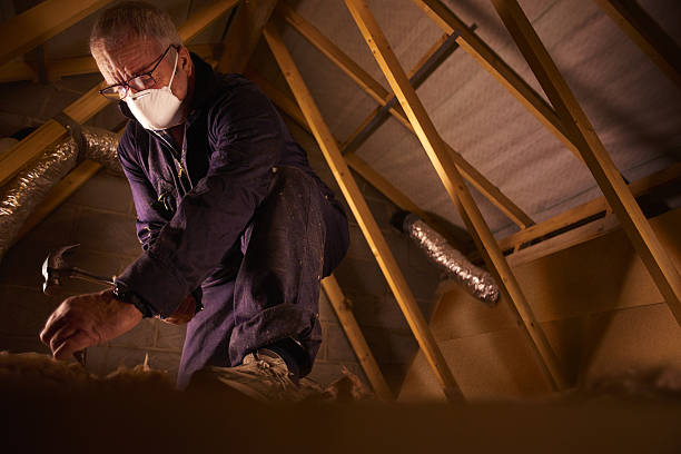 Types of Insulation We Offer in Lincoln City, OR