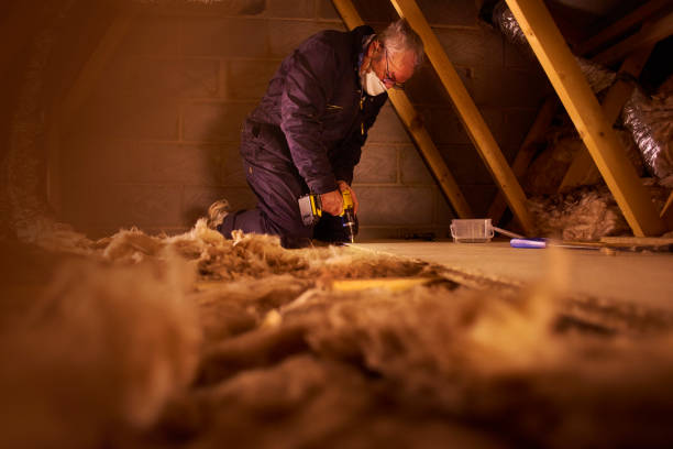 Best DIY Insulation Kits and Guidance in Lincoln City, OR
